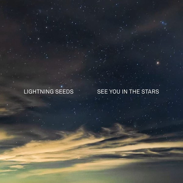See You in the Stars (Indie Exclusive) [VINYL]