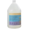Ginger Lily Farms Botanicals Plant-Based Liquid Dish Soap, Concentrated Formula