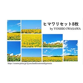 [Summer Postcard Lac et Soleil] Sunflower Post Cart Set of 8 Photo/YOSHIO IWASAWA