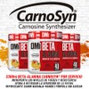 DMI-BETA-ALANINE (CarnoSyn®) Orange Mango 240 g