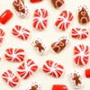 Christmas Glue on Nails - Short Oval Winter False Nails