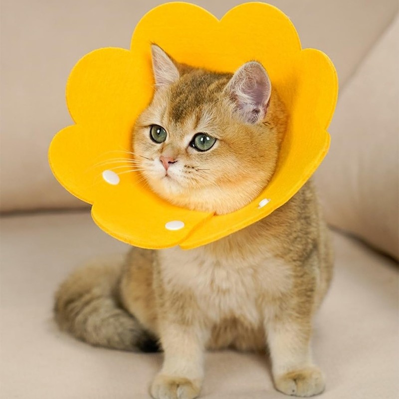 JEYORZY Cat Collar, Adjustable Lightweight Protective Collar, Soft Protective Collar,