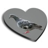 1 x Heart MDF Magnets - Grey Pigeon Wildlife Bird