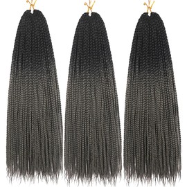 Box Braids Crochet Hair 24 Inch Prelooped Crochet Hair Extensions Hand Made 3 Packs Twist Crothet Braids Hair for Girls and Women Braiding Hair Extensions 22 Strands/Pack (24 Inch (Pack of 3), Black-Dark Gray)