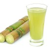 Sugarcane 2pcs Sugarcane Cutting Tropical Live Plant Ready To Plant