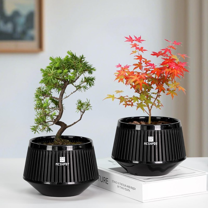 Meshpot 5 Inch Bonsai Pots with Drainage Tray, Set of