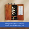 Viper Shadow Buster Dartboard Cabinet Mounted Display Light, with AC