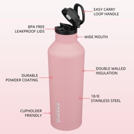 BJPKPK Insulated Water Bottle With Straw 25oz Stainless Steel Water Bottles With 2 Lids And Carry Handle Reusable Travel Metal Thermos,Light Pink