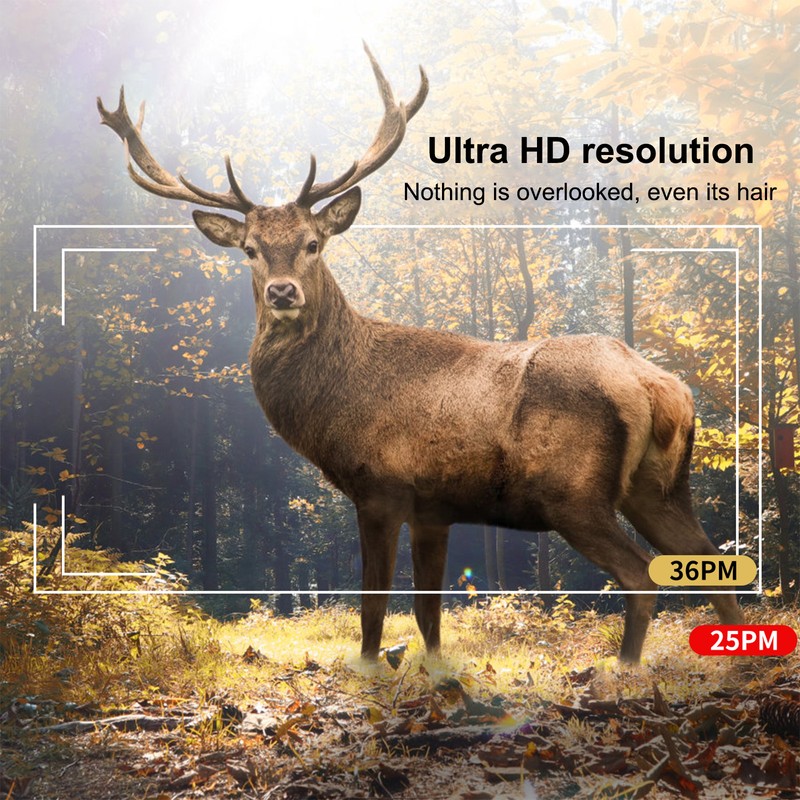 30MP Trail Camera 2 Inch IPS LCD Color Screen 4K