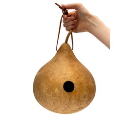 Unifinished Gourd Wren House, Small, 1 1/8th" hole, Wren Only, 5-6" diameter, Tiny Birdhouse, Unfinished, Great for Craft Projects
