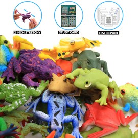 12 Pack Mini Rubber Frog sets,TPR Super Stretches Frog Toys,Food Grade Material Squishy Toys, Realistic Frog Figure For Boy Kids Bathtub