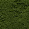 Biotiva Chlorella Powder Organic 100g - Chlorella Vulgaris - Algae