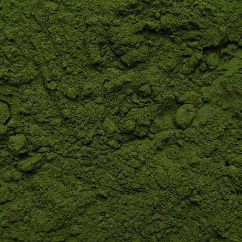 Biotiva Chlorella Powder Organic 100g - Chlorella Vulgaris - Algae