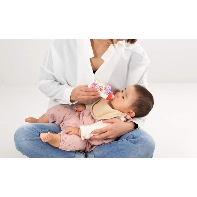 Richell Odekake Lunch-kun Liquid Milk Nipple (Cross Cut) 6 Months