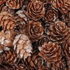 com-four® 50 x Decorative Cones Larch - Scatter Decoration for
