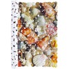 Brandseller Bath Mat Shower Mat with 4 Print Designs Pink, Shells