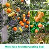 Fruit Picker Mango Picker, 66 Inch Long Heavy Duty Fruit