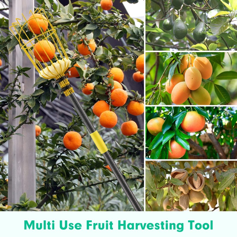 Fruit Picker Mango Picker, 66 Inch Long Heavy Duty Fruit