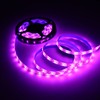 LED Strip Light with Wind Turbine 3 Meter Long IP65