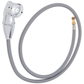 Moen 136106 Hose & Spray, Small, Chrome