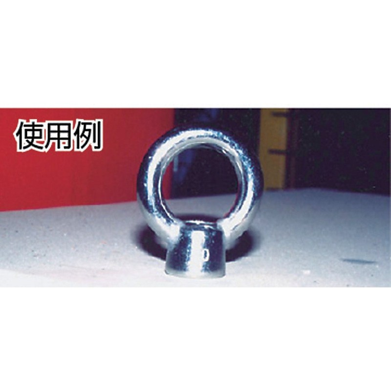 TRUSCO(トラスコ) アイナット ステンレス製 10mm TIN-10M