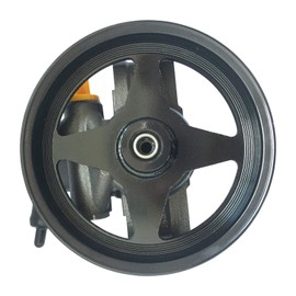 Dynamic Power Steering 45206 NEW Power Steering Pump with Pulley - for 2002-2001 Ford Expedition, 04-97 Ford F150, 99-97 Ford F250