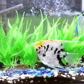 LUEYAO Flat Glass Marbles 1LB Mixed Color for Vase Fillers Mixed Colour Stone for Garden Decoration Craft Fish Tank (Transparent, Cobalt Blue, Sea Blue)