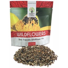 Bee Friendly Wildflower Seed Mix - Bulk 1 Ounce Packet - Over 7,500 Open Pollinated Seeds - Save The Bees!