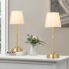 TIZURD LED Cordless Cold Table Lamp Portable Dimmable Desk Lamp 6000mA Battery Powered Touch Control Table Lamp Dining Room,Bedroom,Bar,Camping,Balcony.(LED Bulb Included)