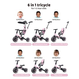 newyoo Tricycle for Toddlers 1-3, Toddler Tricycle with Push Handle and Canopy, Toddler Bike, Birthday Gift and Toys for Girl and Boy, 6 in 1 Baby Trike, Balance Bike, TR009, Pink