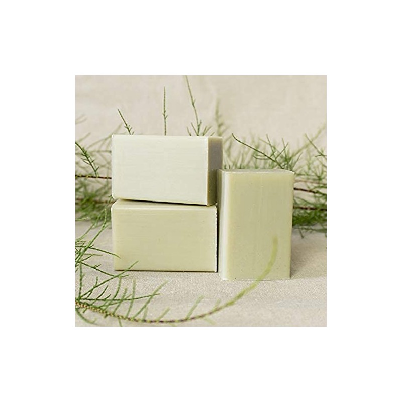 Savon du Midi Olive Soap 80g
