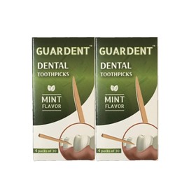 Guardent Dental Toothpicks and Biodegradable Woodsticks Plaque Remover Fresh Effect - Mint Flavor 2 Packs of 4x30 Picks/Pack (240 Picks)