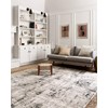 Loloi ll Alchemy Area Rug, 7'-11" x 10'-6", Silver/Grey