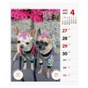2025 Chihuahua Senryu (Weekly Turning) Calendar No. 025