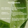Age Prevention Moisture Cream by Youth to the People