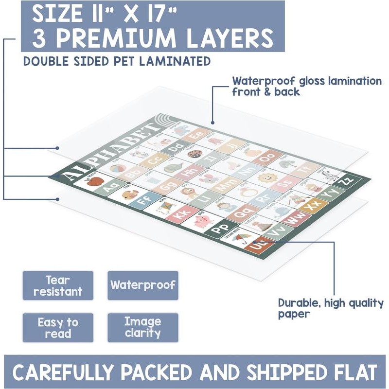 Freegift | 18 Laminated Educational Posters | Learning Charts for