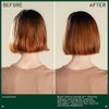 Aveda Pure Abundance Volumizing Conditioning Rinse | Lightweight Volumizing Conditioner