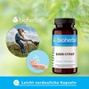 Eisencitrat Kapseln – 200 Stück hochdosiert mit 75 mg Eisen von