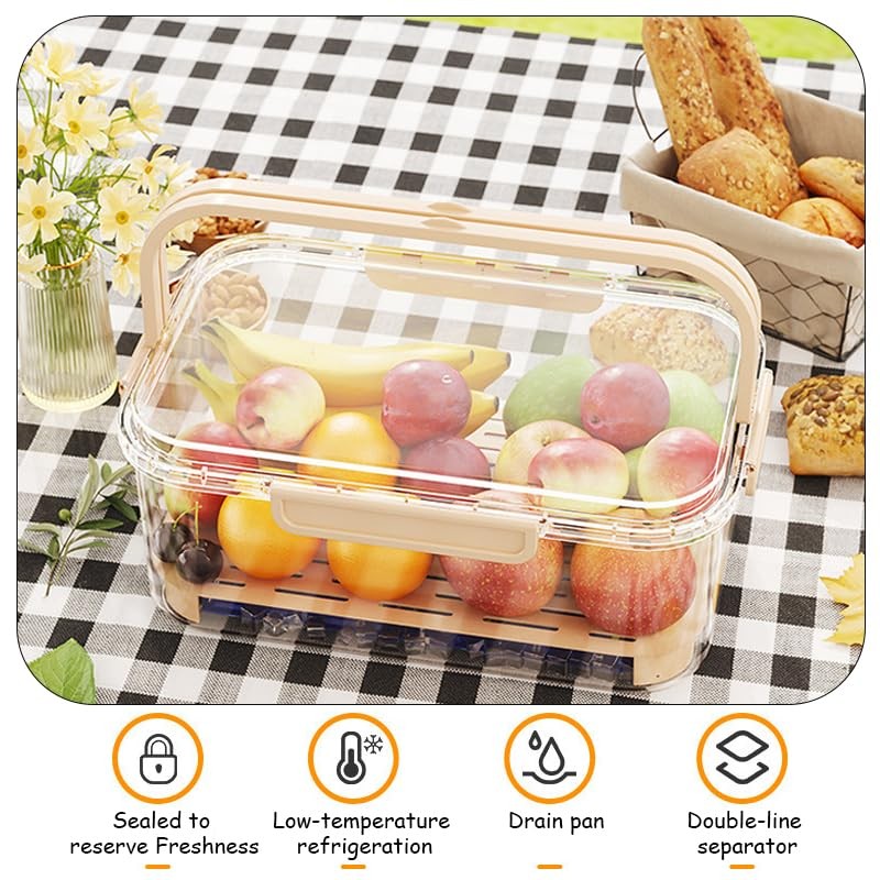 ZQZXD Insulated Cold Food Storage Container with Handle & Lid,