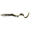 Savage Gear Lamprey PHP Bulk Artificial Bait 3D Real EEL
