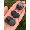 New Moon Beginnings Raw Apache Tears - Black Obsidian Stone