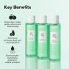 Green Plum Refreshing Toner : AHA + BHA