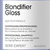 L'Oreal Professionnel Serie Expert DOUBLE Blondifier Shampoo Gloss 300ml