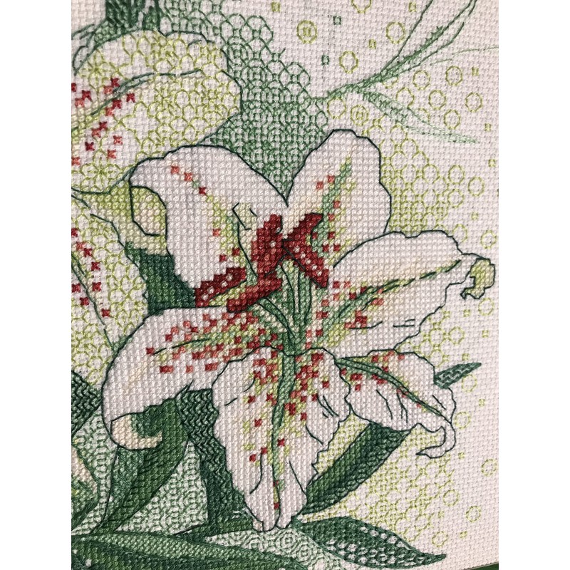 Riolis Blackwork Embroidery Kit, Multicoloured, 20 x 20 cm