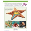 NewPath Starfish Dissection 3-D Paper Model Making Kit - Individual