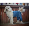 Mozzie Pants MOPBLUE Original Dog Pants, Medium