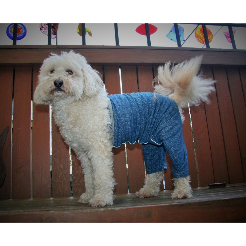Mozzie Pants MOPBLUE Original Dog Pants, Medium