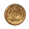 7 Year AA Medallion Traditional Bronze Raised Center Sobriety Chip