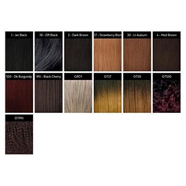 Freetress Synthetic Crochet Pre-Looped Braid - STRAIGHT GODDESS LOC 18" (OT27)