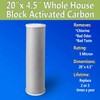 Ronaqua Big Blue CTO Carbon Block Water Filters 4.5" x
